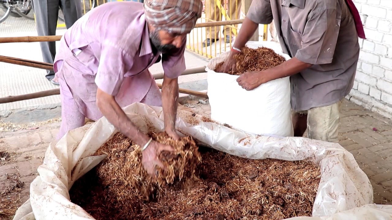 Utilization of kinnow waste as livestock feed