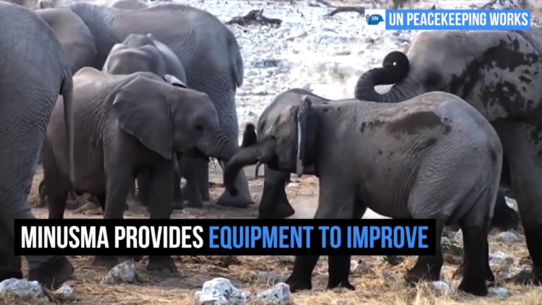 MINUSMA Elephants