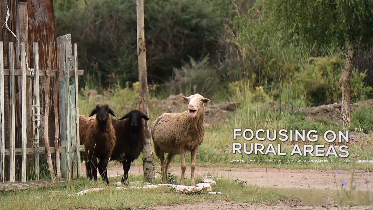 FAO-Turkey Partnership Programme on Agriculture Spot