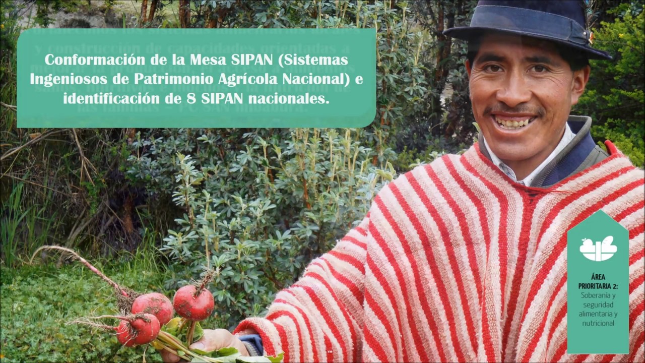 Principales Resultados la FAO en Ecuador 2013-2017