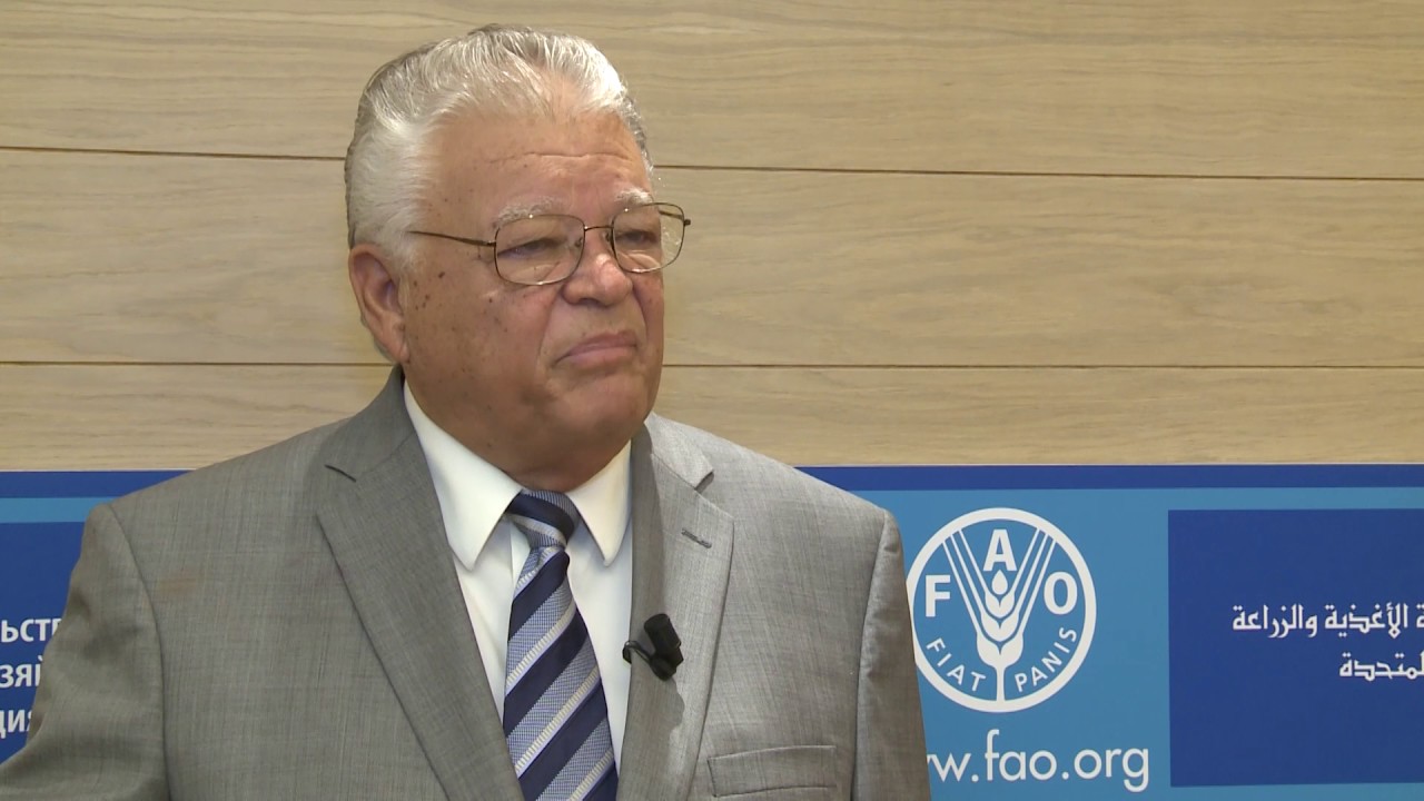 Remarks by Jamaica’s Minister for Industry, Commerce, Agriculture and F…