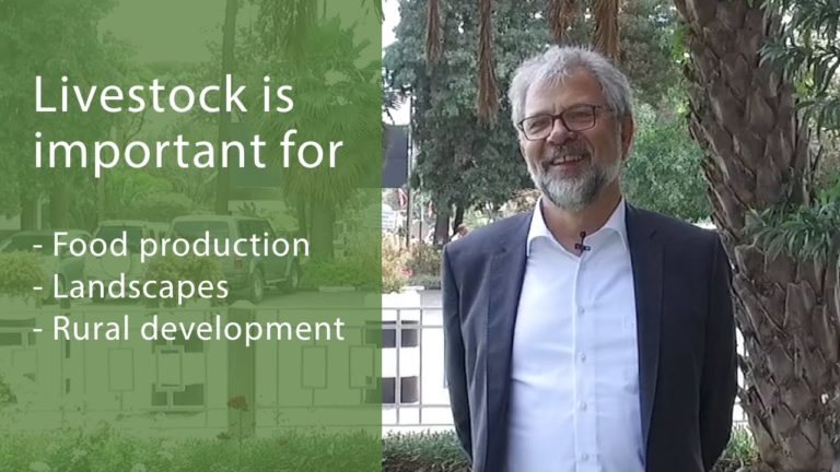 The Critical Issues for the Multi-Stakeholder Partnership to Move Forwa…