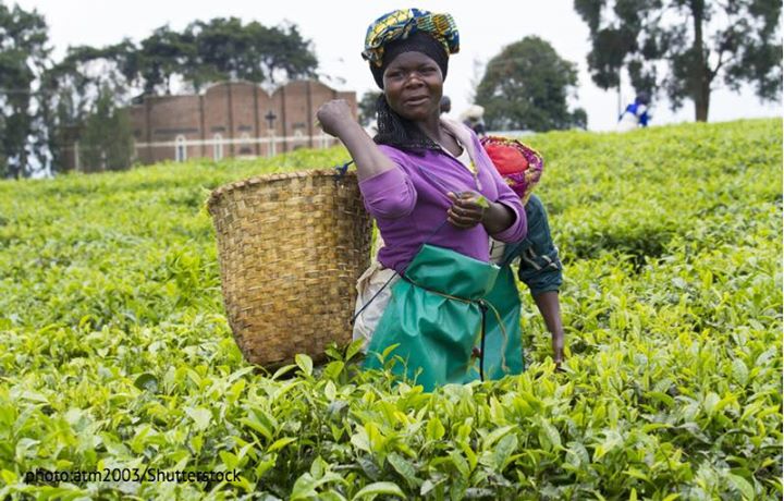 How can we fight  #Africa’s chronic food deficit? Read about…