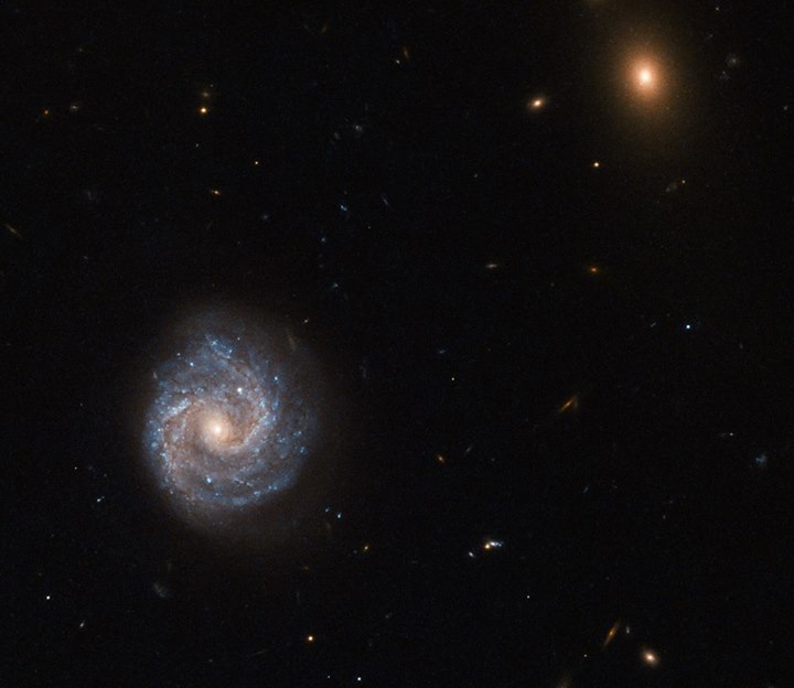 Imaged by the Hubble Space Telescope, galaxy 2XMM J143450.5+…