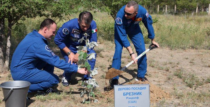 Paolo and Sergei assist NASA’s Randy Bresnik with his tree…How many astronauts…