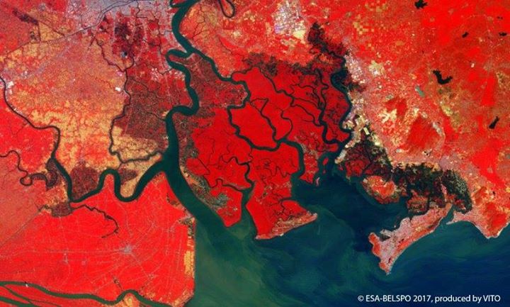 #MangroveDay
In November 2015, UNESCO proclaimed July 26 as the International D…