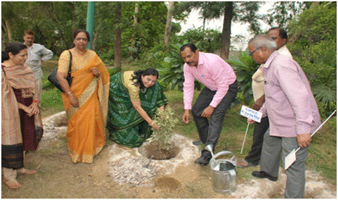 Tree Plantation Drive by Railway Women’s Welfare Central Organis…