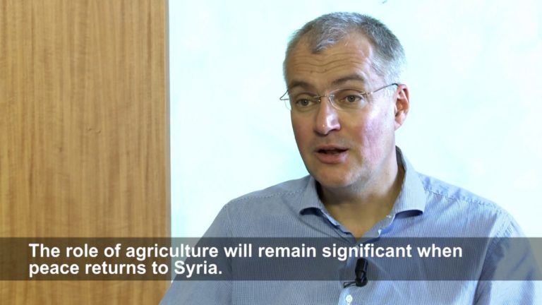 Syria Crisis: Crop production improves but still far below pre-conflict…
