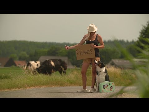 Travelling with your pet in Europe