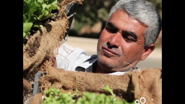 Vertical micro-gardens producing much-needed food in Lebanon