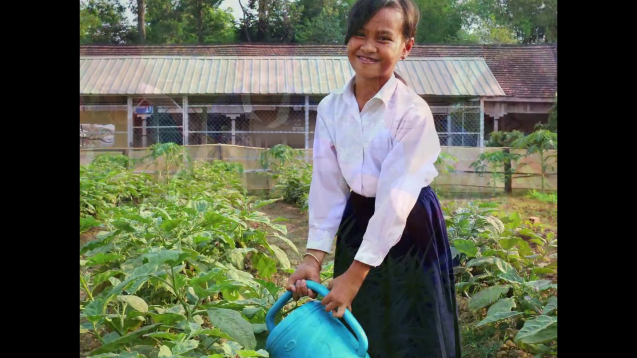 School gardens in Cambodia