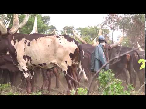Sustainable soil management practices in the Kagera river basin