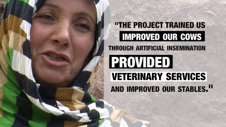 The Bilateral Trust Fund (BTF) A strong Partnership between Germany and…