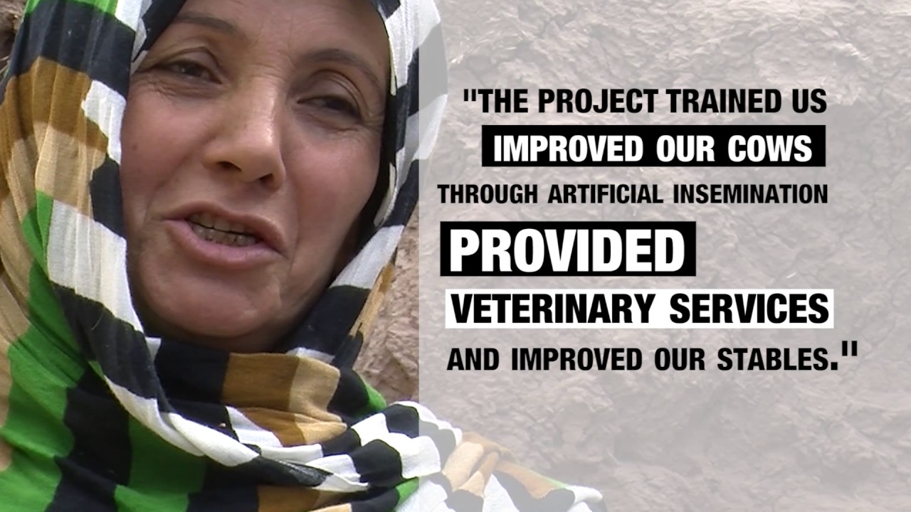 The Bilateral Trust Fund (BTF) A strong Partnership between Germany and…