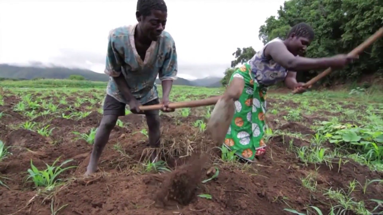 Governing Land for Women and Men