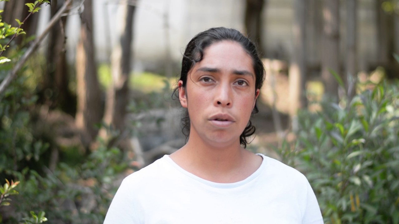 Filtros de aguas grises: Una alternativa para producir alimentos