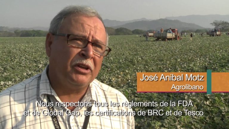 Le CODEX au Honduras