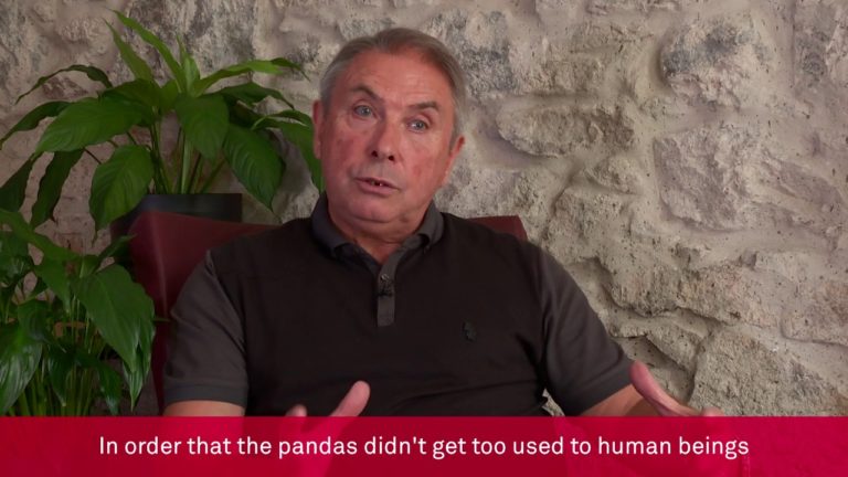 WPP: A series that “makes you smile”