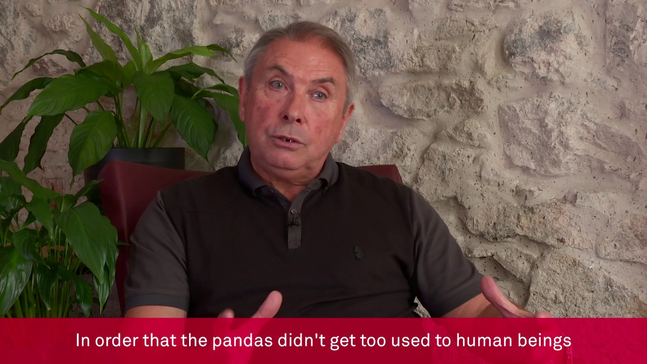 WPP: A series that “makes you smile”