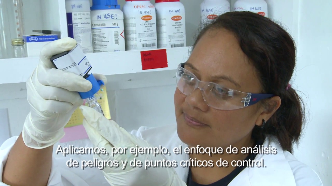 Normas alimentarias del Codex en las Islas Cook: alimentos inocuos y de…