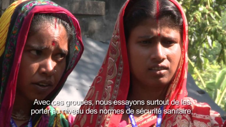 Le Codex au Bangladesh