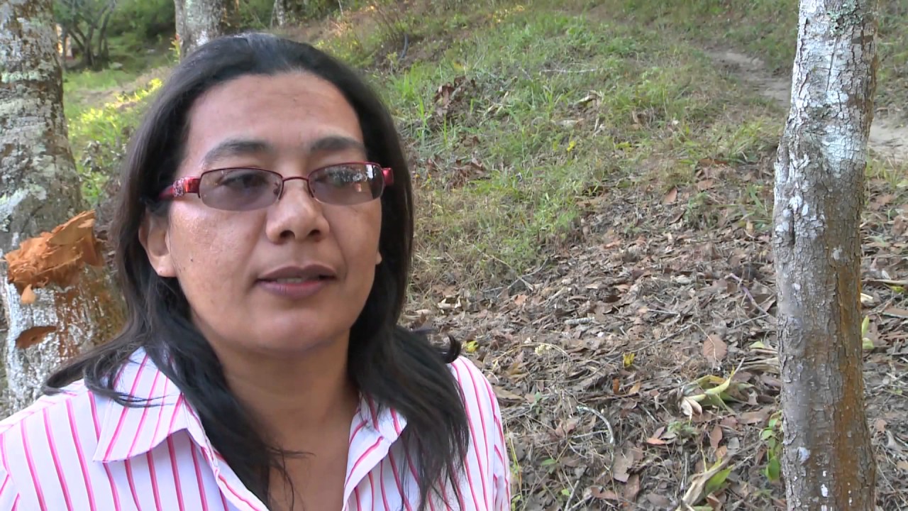 El CODEX en Honduras