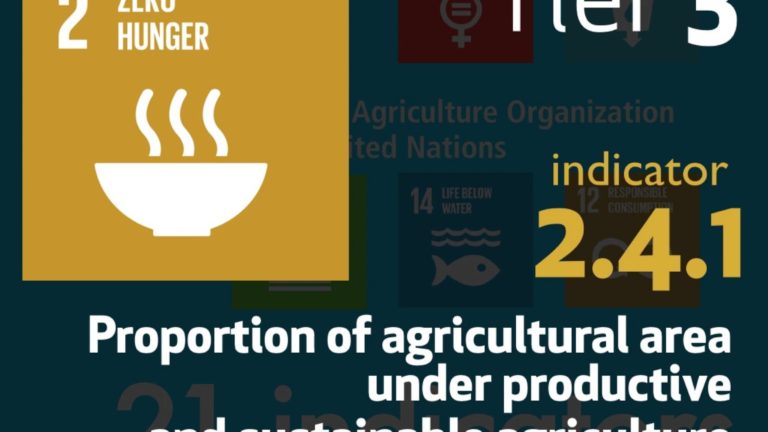 Monitoring the Sustainable Development Goals (SDGs)