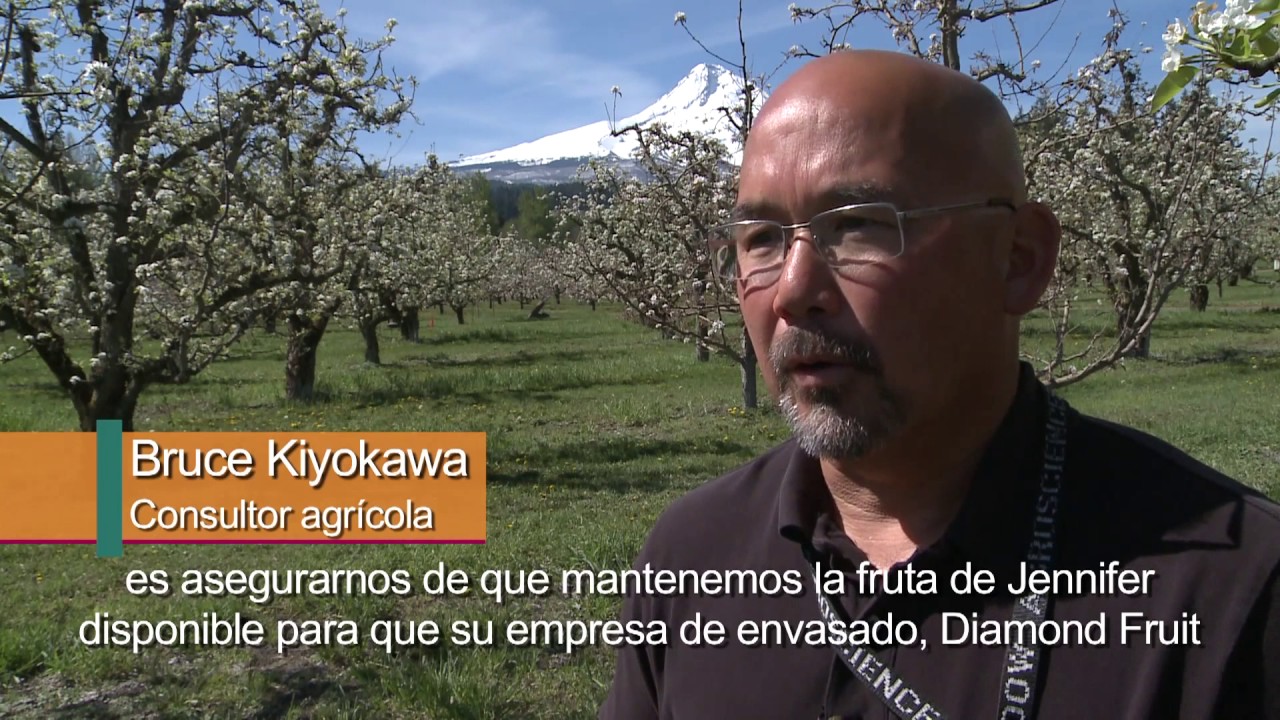 Normas alimentarias mundiales del Codex en EE.UU.: protegen a consumido…