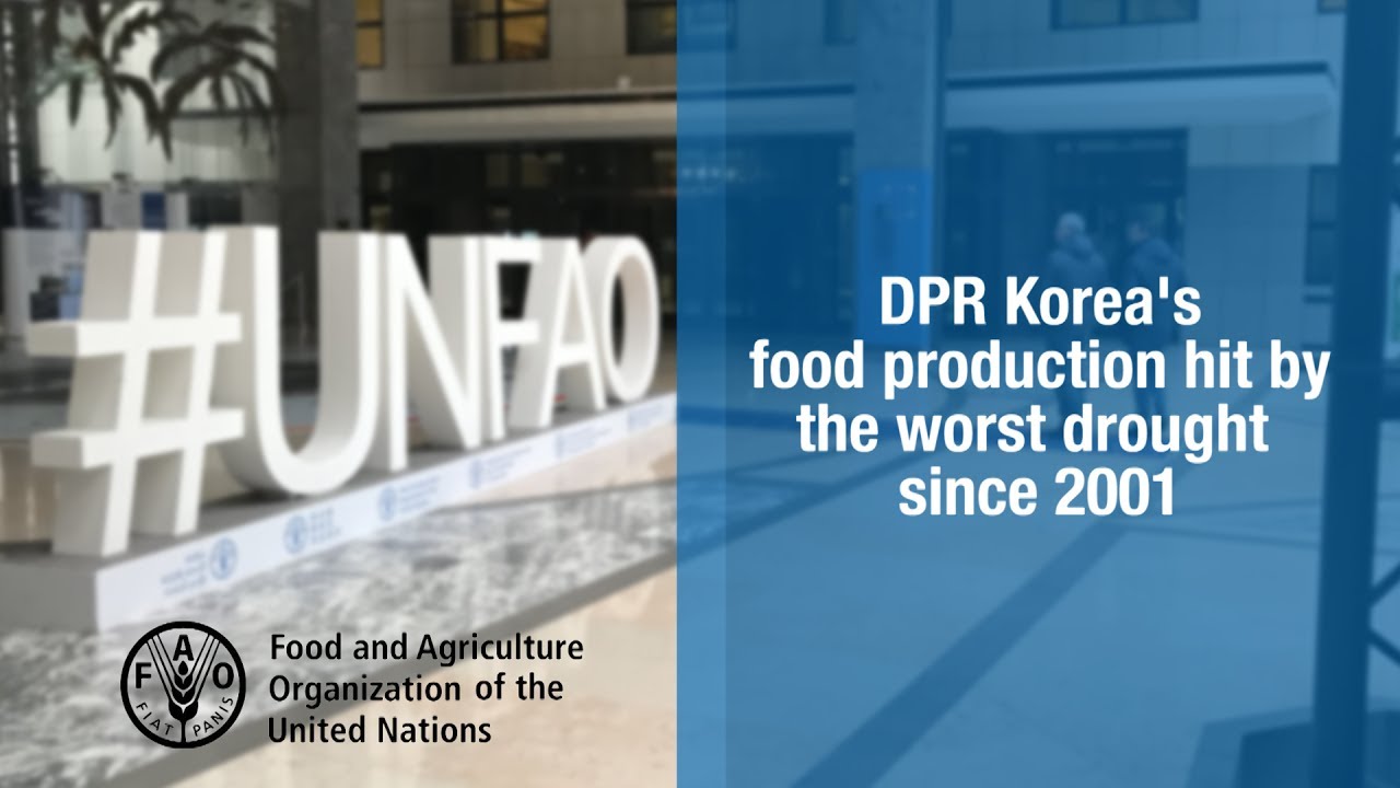 DPR Korea’s food production hit by the worst drought since 2001