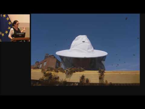 AnneMarie Maes – Intelligent and Open Source Beehives