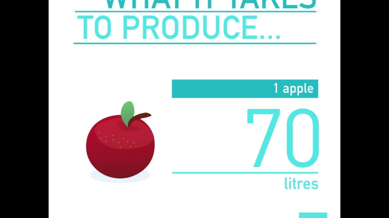 How much water is needed to produce…? 1