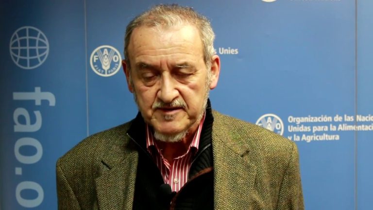 Consulta Nacional sobre Sistemas Alimentarios Sostenibles para la Alime…