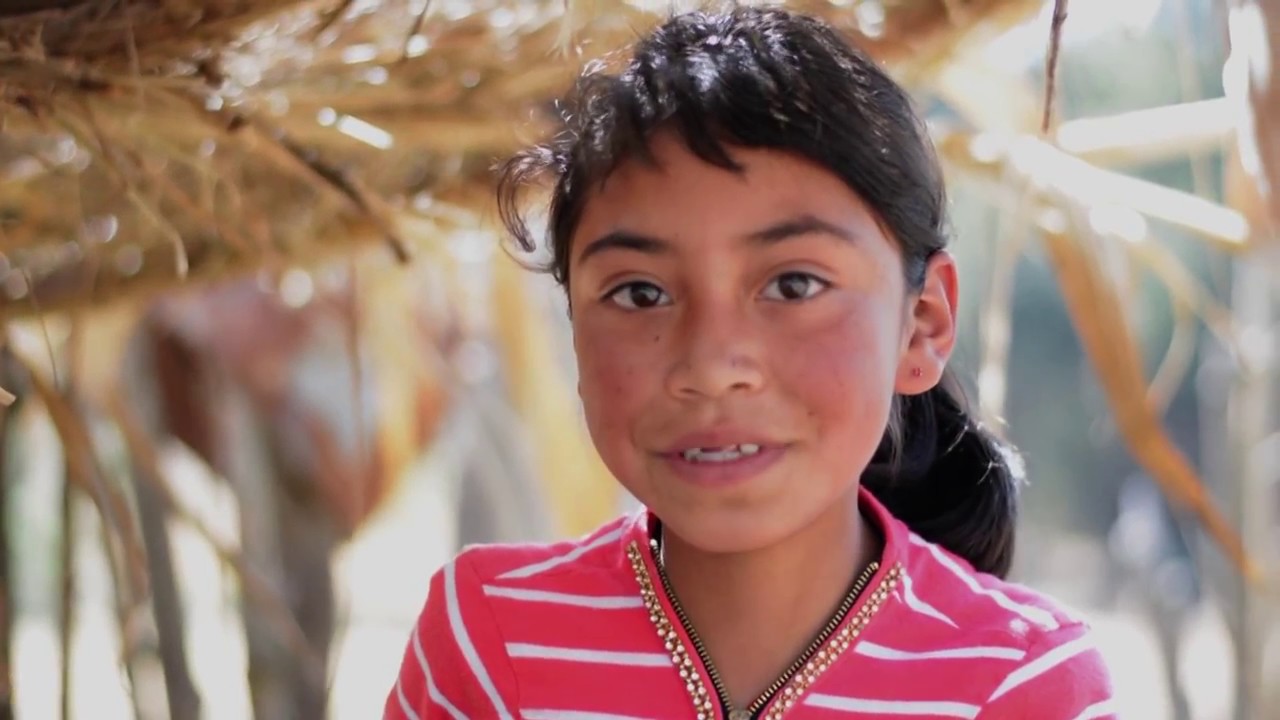 Las plantas nativas del huerto familiar