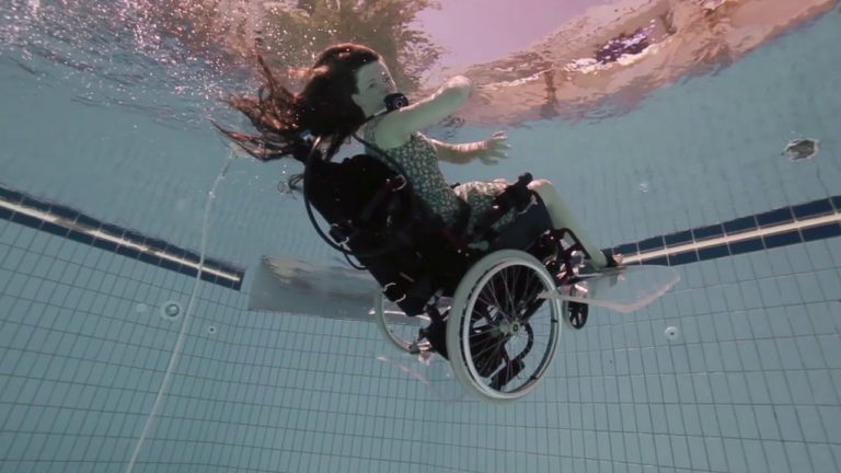 Jobs and Skills for Persons with Disabilities in Egypt