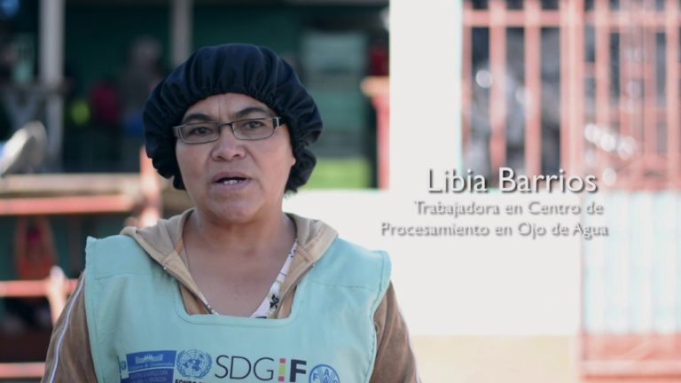 Los centros de procesamientos en San Marcos