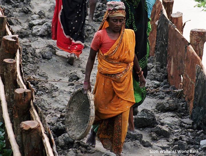 Public spaces such as streets, parks, and public buildings a…