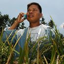 Agriculture 2.0: how the Internet of Things can revolutionize the farming sector