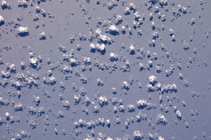 Let’s play a game… I’ll post an image and you tell if it’s a painting or a pic…