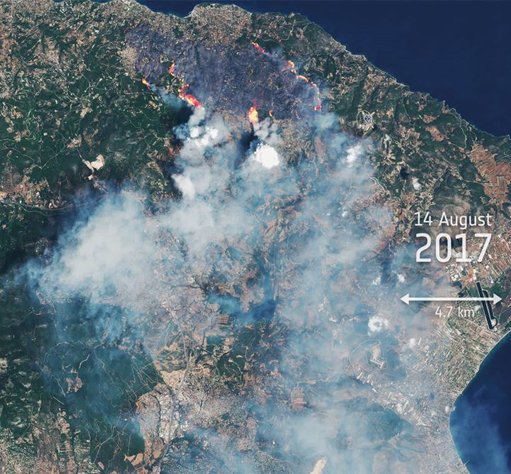 This animation, created using images from the Copernicus Sentinel-2 satellites, …