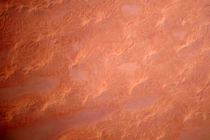 Just in from Paolo NespoliThere are colours that only Nature can come up with! 
…