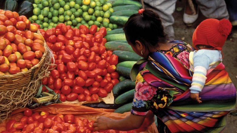 Investing in Nutrition: the Foundation For Development