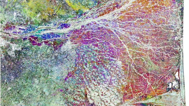 Sentinel-1 speeds up crop insurance payouts