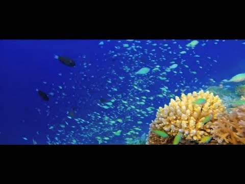 Marine Protected Areas, 2nd theme of the 2017 #OurOcean conference