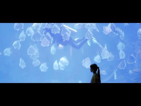 Sustainable Blue Economy, 4th theme of the 2017 #OurOcean conference