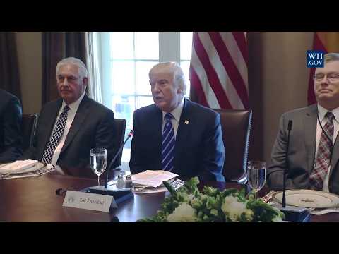 President Trump has a Working Luncheon with President Rajoy