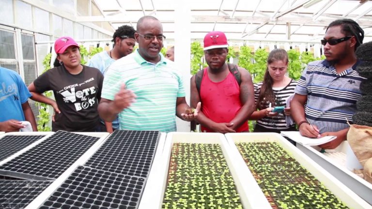 Learning Route,  BELIZE