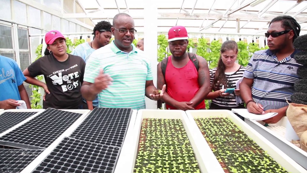 Learning Route,  BELIZE