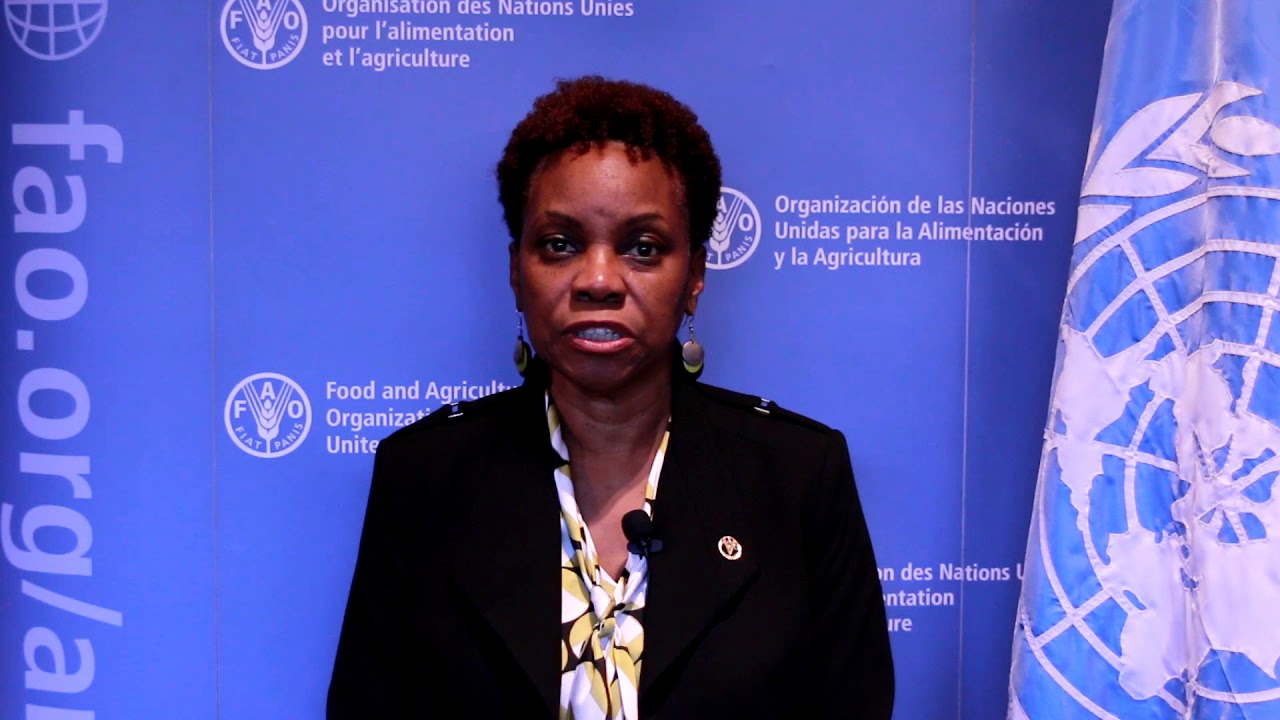 Lystra Fletcher – Subregional Coordinator for Caribbean