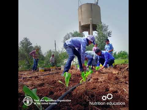 The Syrian schools with edible playgrounds