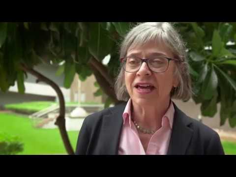 How training creates opportunities for local employment